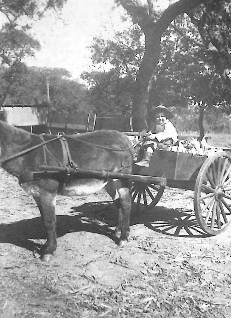 Vintage black-and-white photo of John Eddie Vogt as a child riding a donkey cart, captioned “Me and Mikey harvesting corn. I’m the one wearing the hat.”