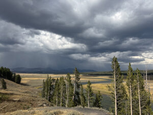 Storm clouds over Yellowstone National Park with trees and open plains beneath a dramatic sky.