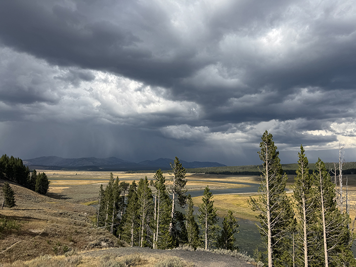 Storm Clouds over Yellowstone National Park with Trees and Open Plains Beneath a Dramatic Sky.