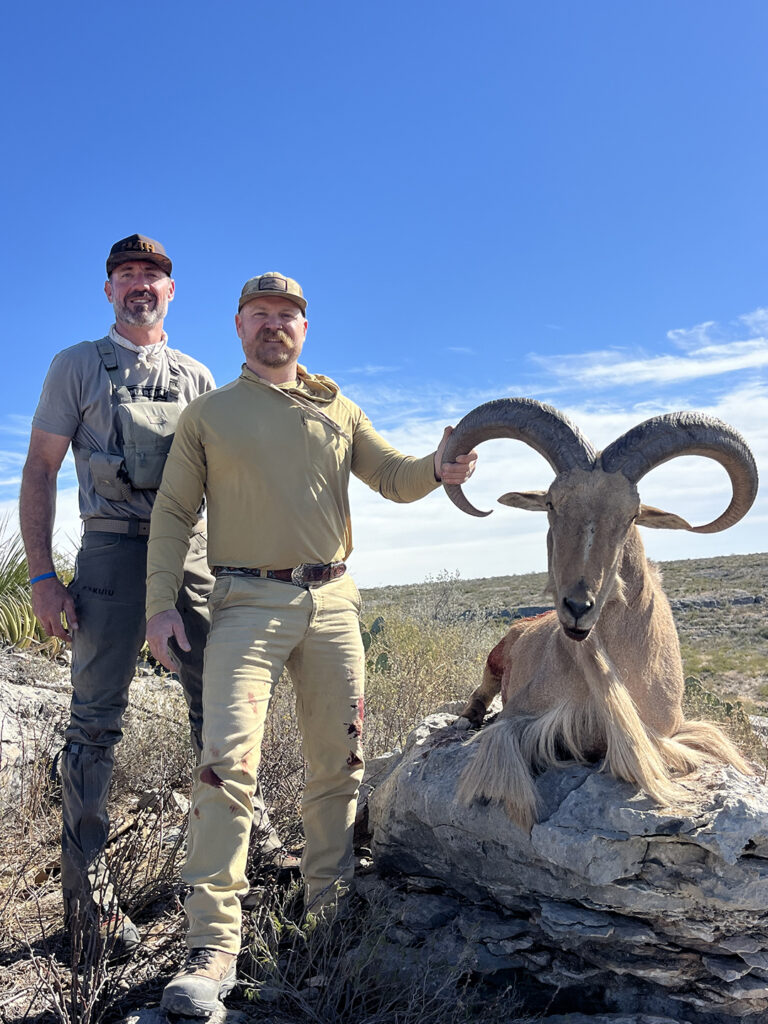 Hunters Standing Beside a Mature Aoudad Ram on Rocky Terrain Near the Pecos River in West Texas