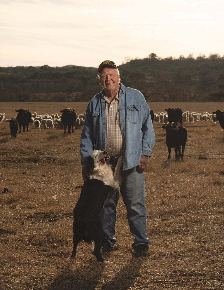 William “bill” Whitworth Standing on His Sisterdale Ranch with Cattle and Sheep in Kendall County, Texas