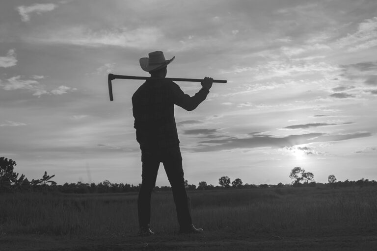 Farmer Holding a Hoe in a Field at Sunset, Illustrating Uncle Willie's Zodiac Farming Traditions