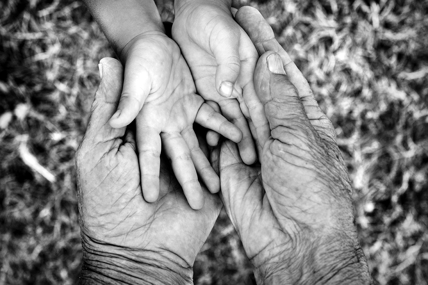 Grandparent's Hand Holding a Small Child's Hand, Black and White, Selective Focus